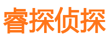 渑池侦探公司